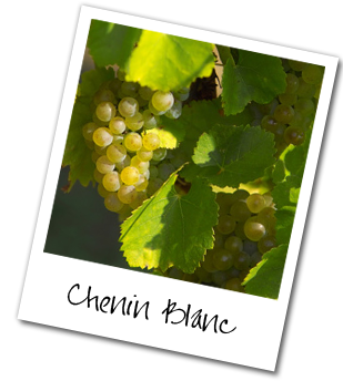 L'appellation Montlouis issue du Chenin offre une grande diversité de vins blancs.